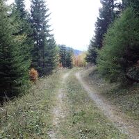 Abstieg vom Alpl zur Knofeleben
