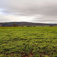 Heberberg - Wanderung Lamspringe Großer Heber