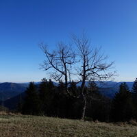 Unterberg