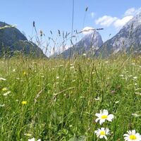 Blick in die Ferne