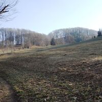 Abstieg Bichlberg Richtung Höllgraben