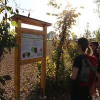 Klimazukunft-Weg: Infotafel in der Oststeiermark