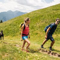 Zwischen den Wiesen von Dromaè