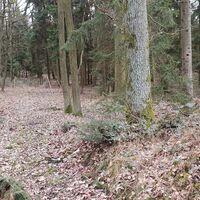 8.8 km Single am Manhartsberger Wallfahrerweg in Gegenrichtung