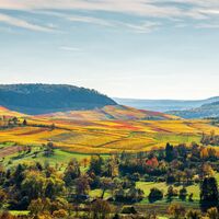 Woher kommen unsere Berge und Täler | Naturführung | Naturpark Stromberg-Heuchelberg