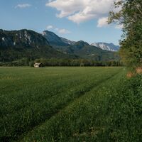 87 - laufrunde-woerschach-enns-19 © Christoph Lukas (2025-06).jpg