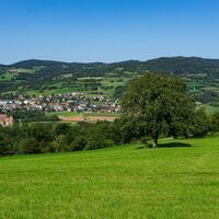 Güterweg zum Mandlgupf, Blick zurück nach Pöggstall