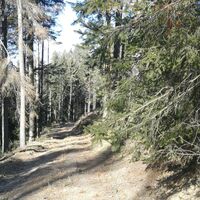 Wanderung rund um Burglemnitz