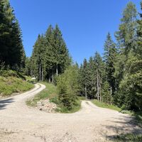 Auf Forststraße bei ca 1090m üdM rechts sanft bergab weiter, hier rechts halten