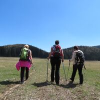 Rohrbachgraben -- Bodenwiese auf der Gahns