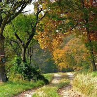 Feldweg nach Oberpirath