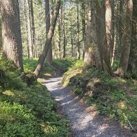 Uphill-Single zur Bregenzer Hütte