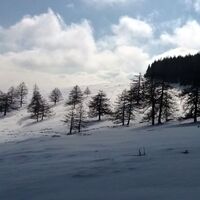 Idyllischer Winter auf der Gmoa-Alm