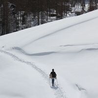 Bosco Gurin