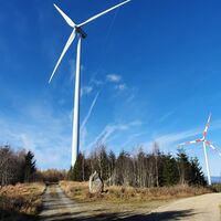 Windpark Sternwald