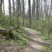 Aufstieg nach Hadersfeld (Obelisk)