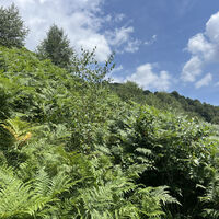 Alpenbogen A135 Cannobio-Monteviasco