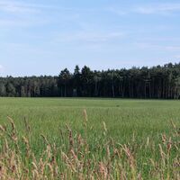 Wiesen & Wälder in der Dummeniederung