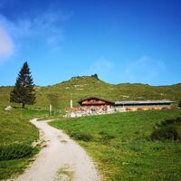 Scheffau_Kafma Alm_Sommer_Wilder Kaiser
