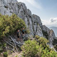 Scheffau_Abstieg Tuxeck_Wilder Kaiser