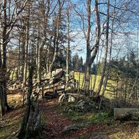 L1 Hochbuchberg Trail