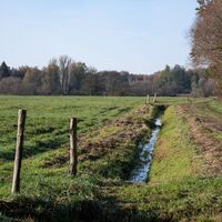 Feldweg in der Dummeniederung