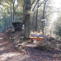 Auf dem Weg zur Jung Pfalz Hütte