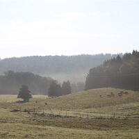 Moosalbtal