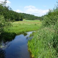 Hörfeldmoor