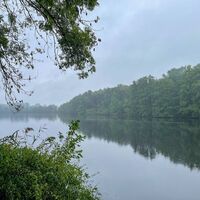 Breyeller See bei Nebel