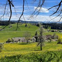 Frühlingserwachen im Westallgäu