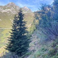 Aussicht auf der Rundtour Alp Glivers