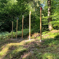 "Rabenmütter" - Ars Natura Runde Spangenberg