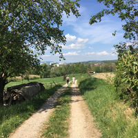 Weg zur Seefelder Aach