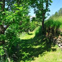 Noch immer trotzen die Steinmauern, Wind und Wetter.