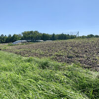 Schönkirchen-Reyersdorf, Weidenbachrunde