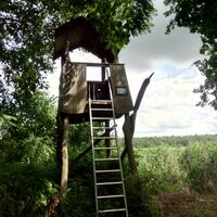 Unkenpfad Litzenteich_Beobachtungsturm