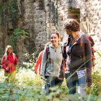 Naturpark-Augenblick-Runde Holzbronn_In der Ruine Waldeck
