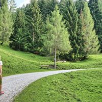 Gemütlicher Aufstieg