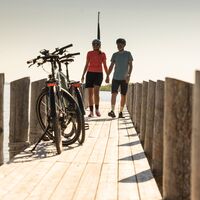 Ausblick Neusiedler See