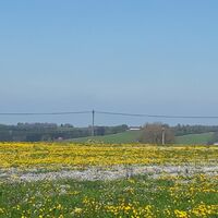 Von Westenried nach Böhen
