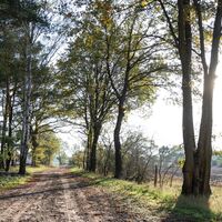 Sonnenschein auf dem Dummewiesen-Weg