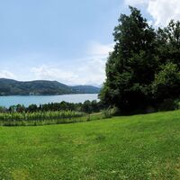 Weinberg Klagenfurt