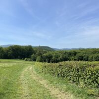 Und weiter hinab auf Wiesenweg Richtung Heiligenkreuz