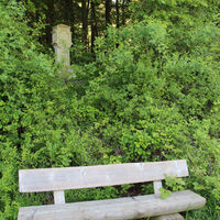 Holzbank vor einem Busch