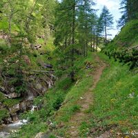 Schöner etwas steilerer aber lohnenswerter Anstieg über den Tümpfenweg neben dem wild rauschenden Großfleißbach.