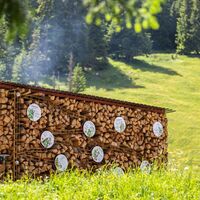 Murmelibahn zum Thema Flora