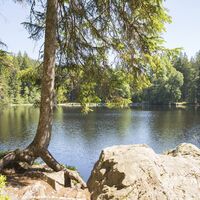 Blick auf Mathisleweiher