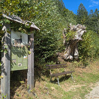 Bank und Infotafel am Gamspfad