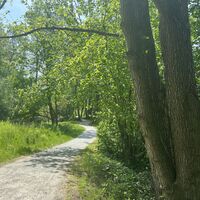 5-Weg-Luhpad-2-ccbysa-foto©bispingen-touristik-min.jpeg